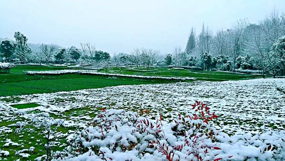 天府水岛林盘依田桃源丨中国成都丨梦景未来DDM-52