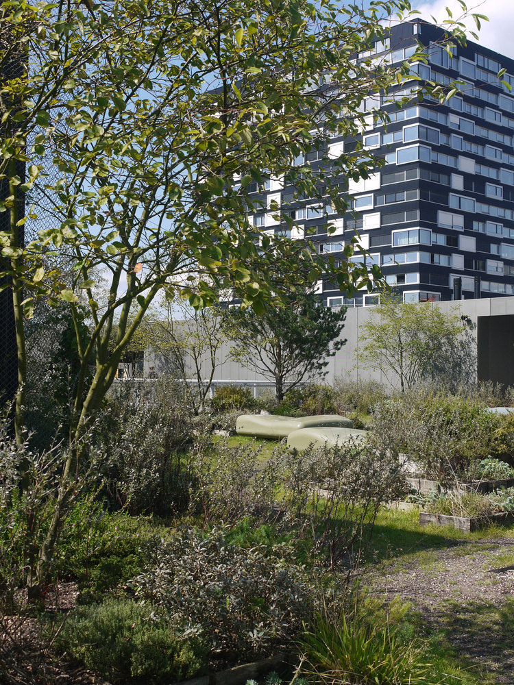 苏黎世艺术大学屋顶花园-32