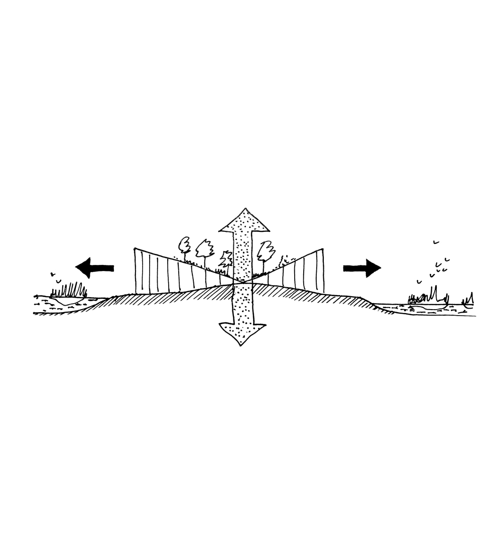 自然与健康中心丨TKMT 建筑师事务所-16