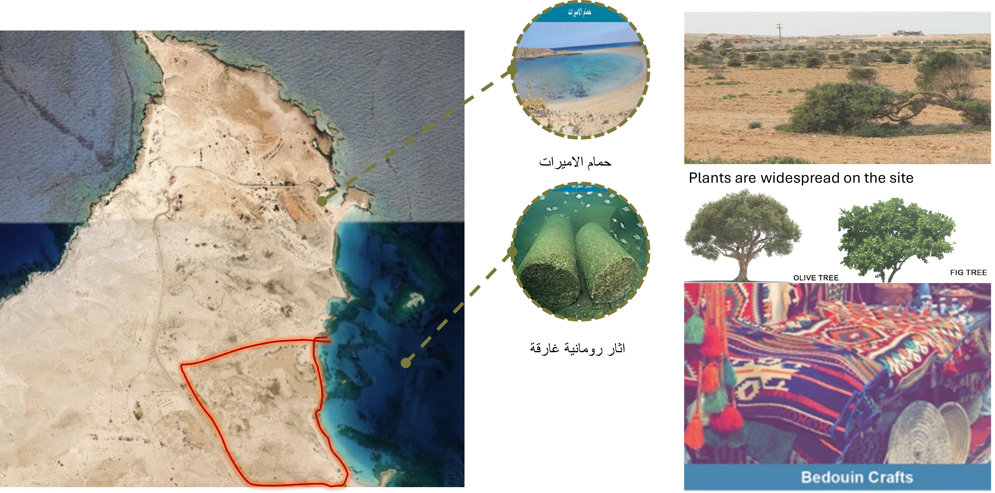 生态旅游邻里区毕业设计项目-3