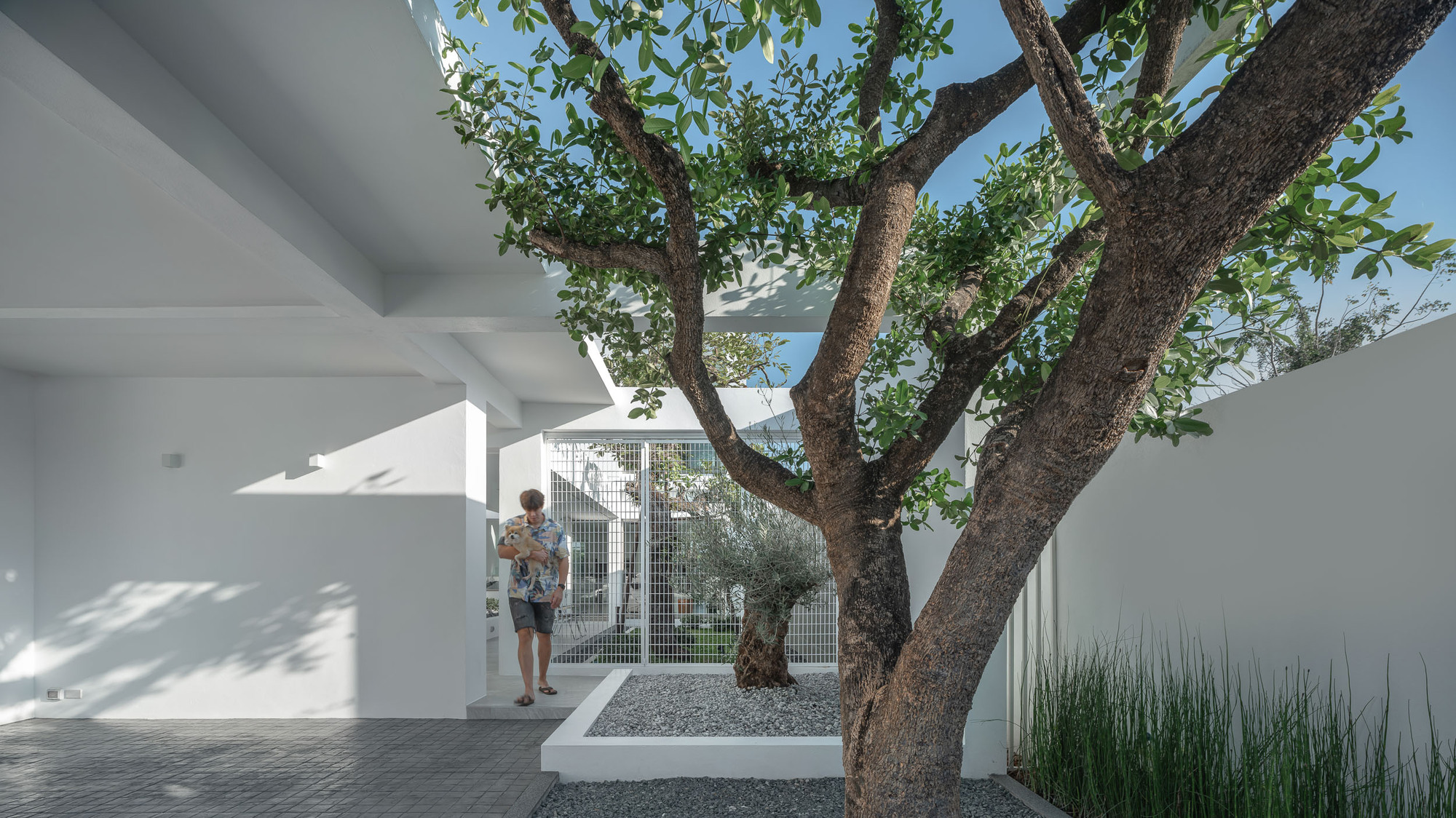 众议院 C+I丨泰国清迈丨blankstudio-29