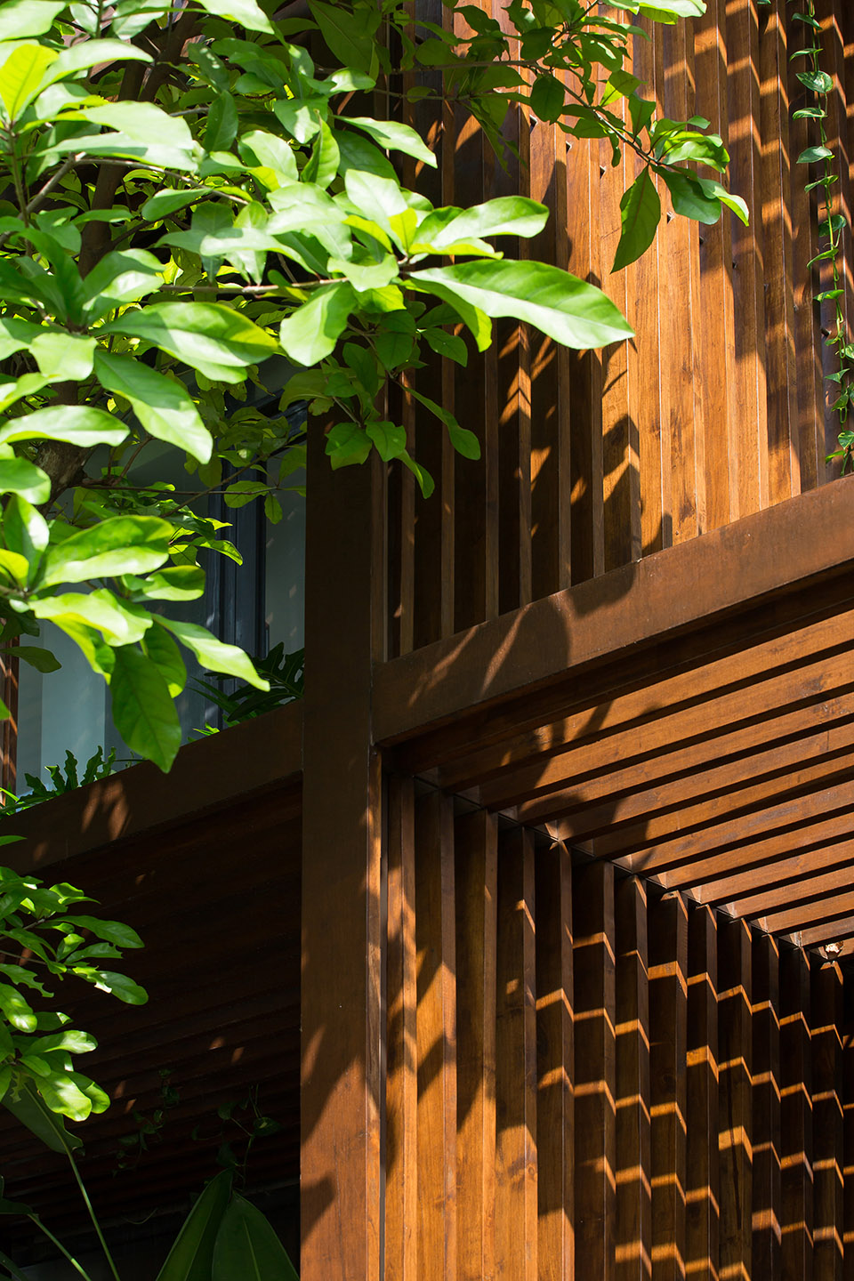 Tony Fruit办公楼丨越南胡志明市丨TAA Design-41