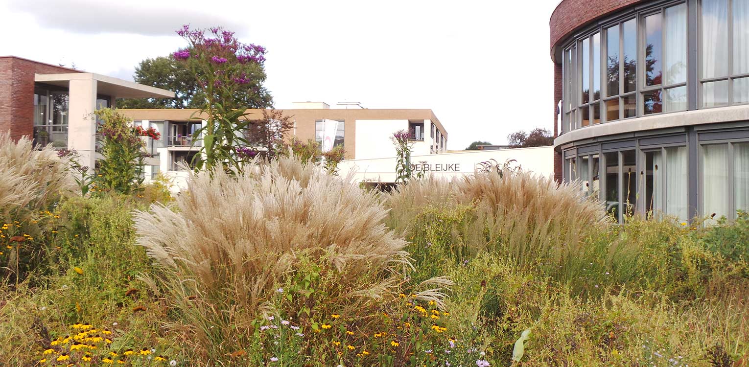 Prairie bedrijfstuin Hengelo - Denkers in Tuinen-23