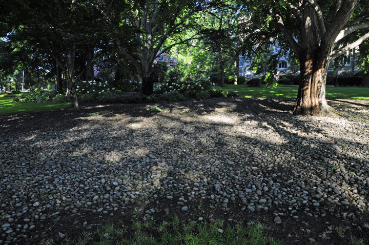 福特汉姆大学校园景观丨美国纽约市-18