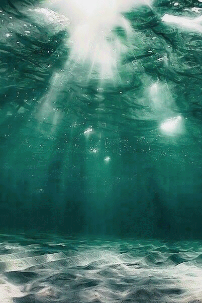 廊桥港湾 · 摩天轮下的秘密花园餐厅设计丨中国深圳丨EMA轶美设计-26