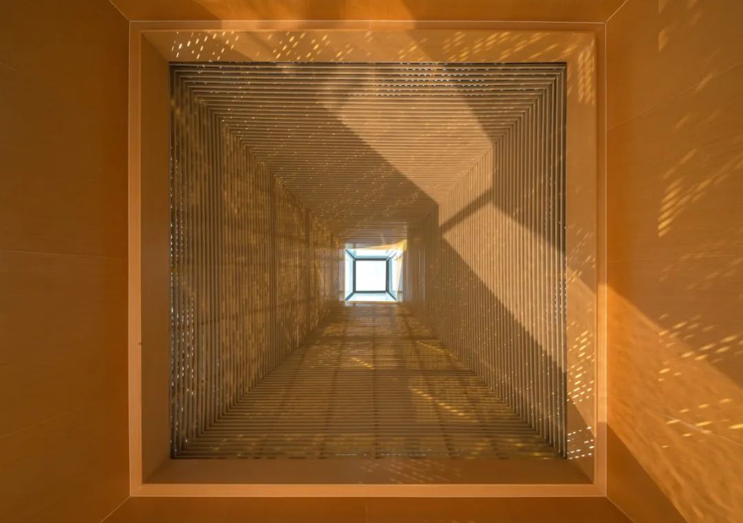 水杉林餐厅丨中国苏州丨大象设计-21