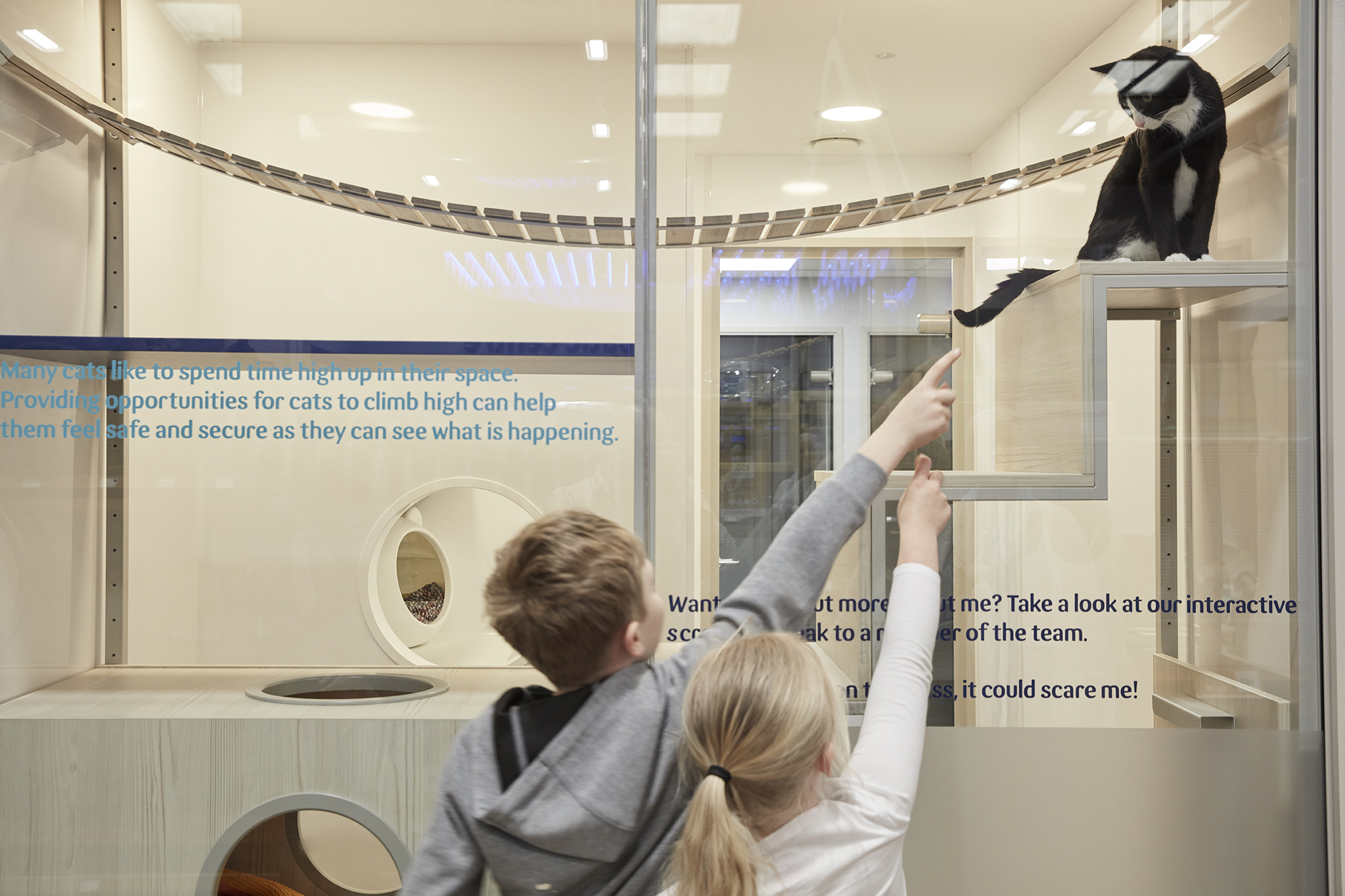 "Pets at Home"新型宠物店概念设计,打造互动式宠物体验空间-12