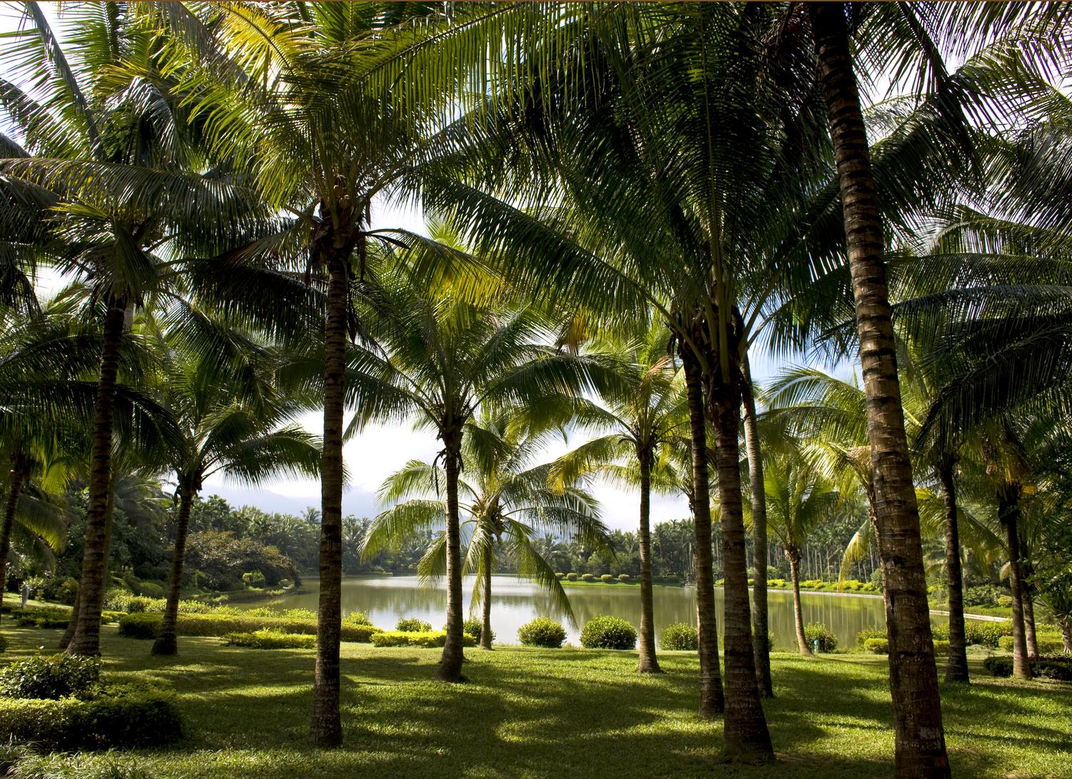 )Le Meridien Shimei Bay Beach Resort - Spa, Wanning, China-31