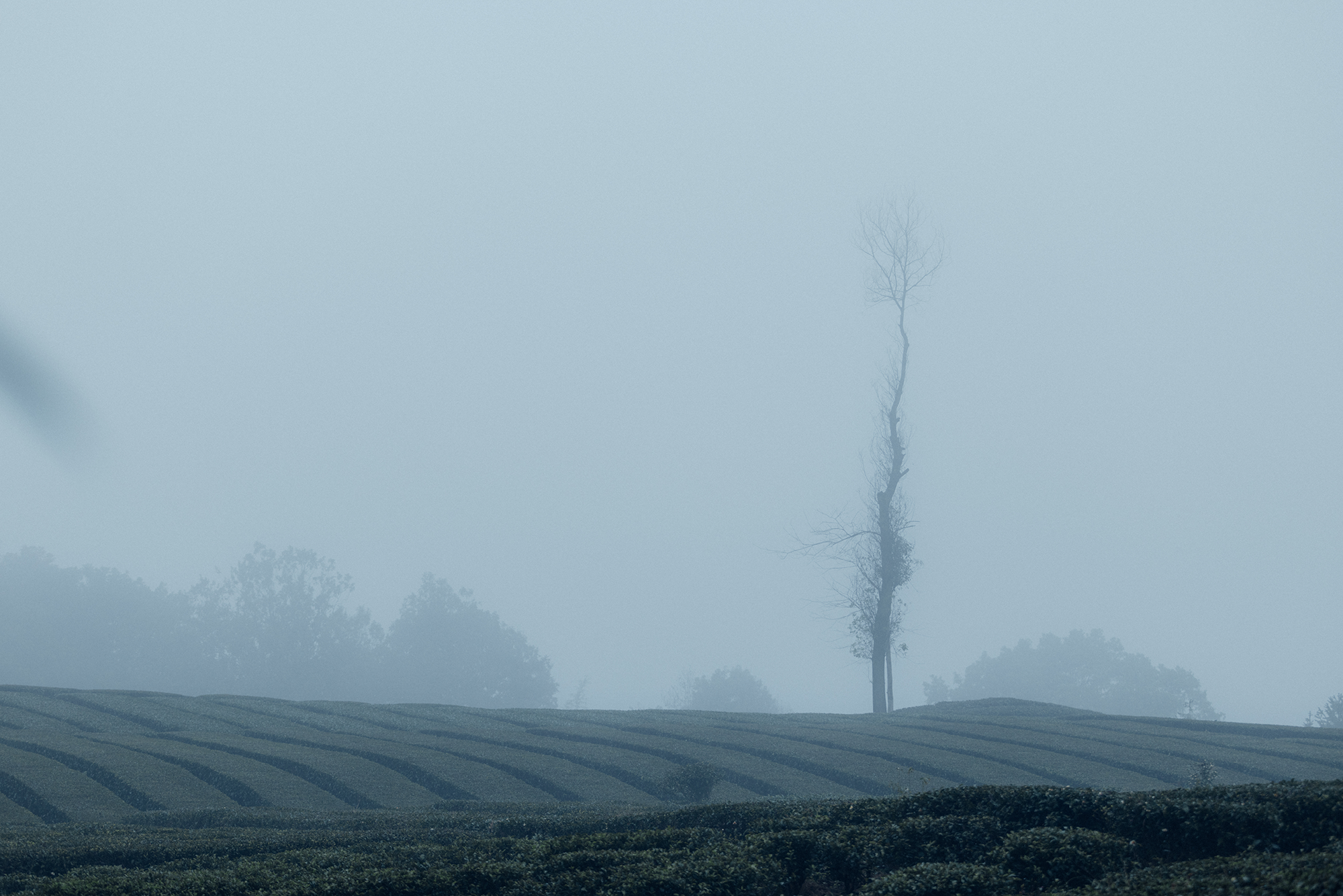 山岫茶宿·叙永丨中国泸州丨小隐建筑事务所-14
