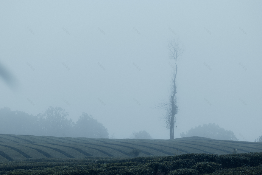 山岫茶宿·叙永丨中国泸州丨小隐建筑事务所-14