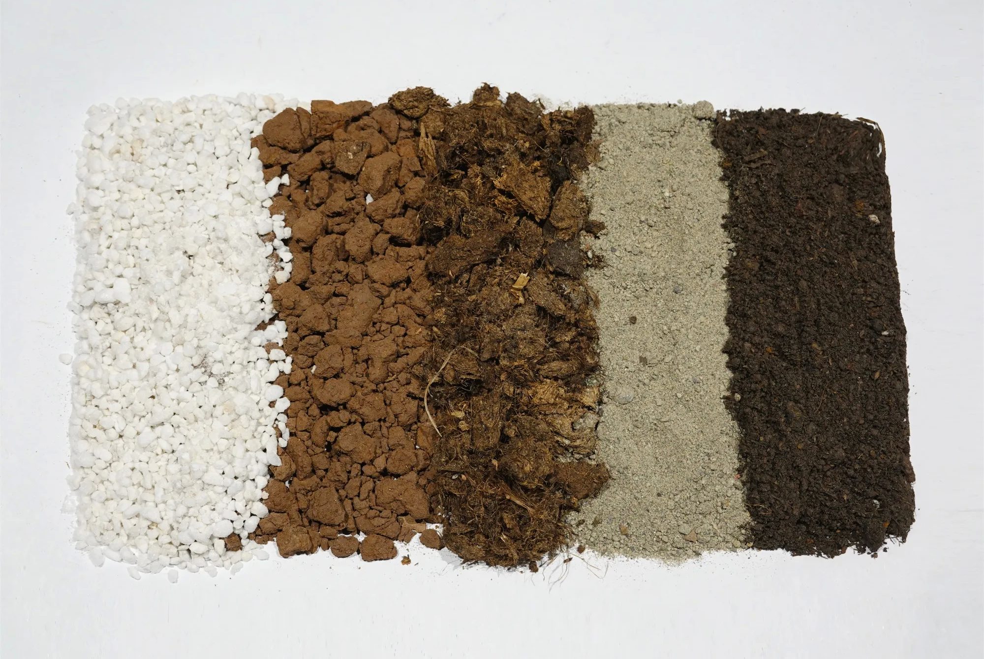 WE HOUSE 物候自然展厅丨我们在办公室造了一个植物园 / 物候设计-109