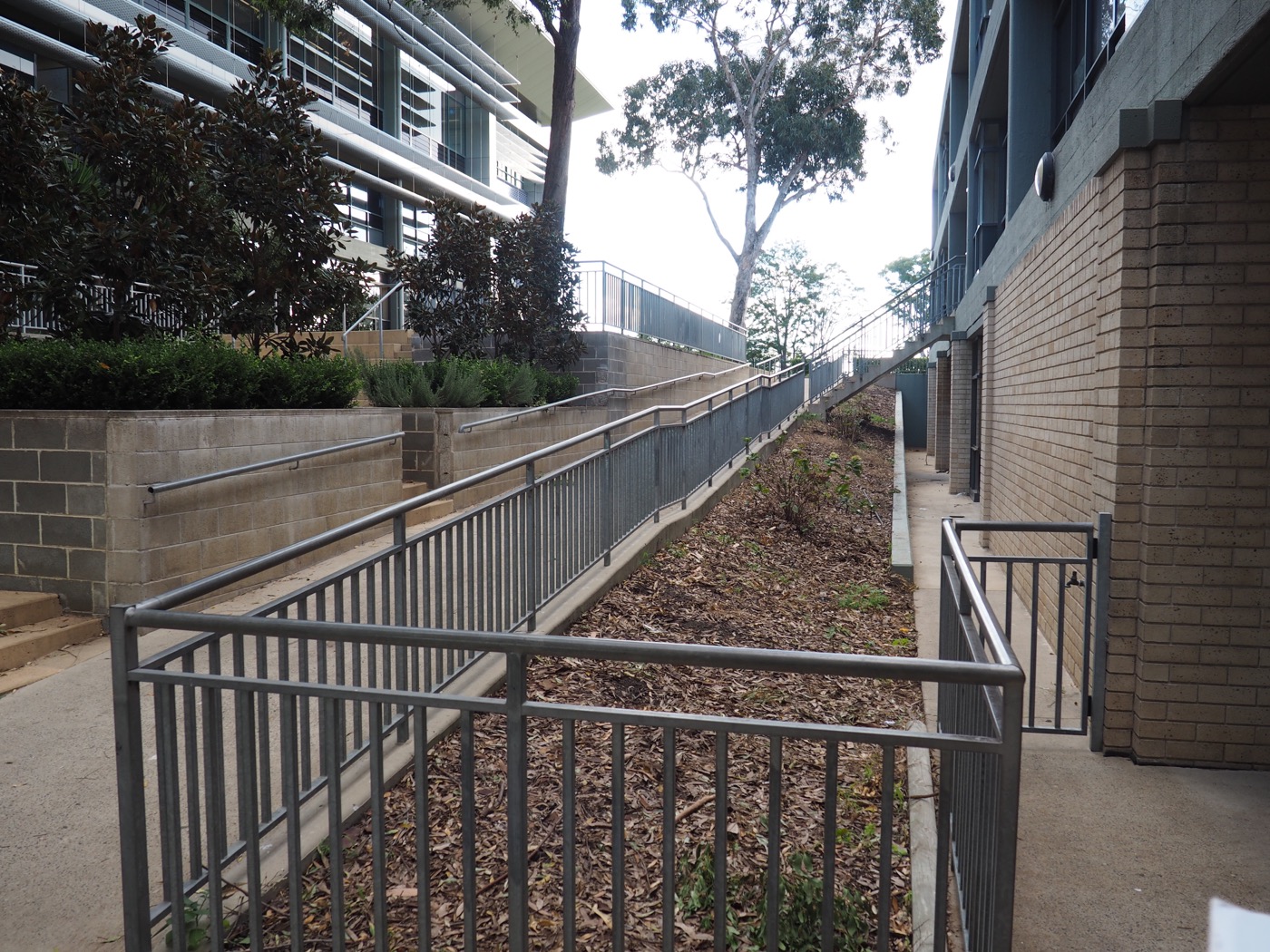 创新校园景观 | 澳大利亚圣伊格内修斯河景学院-30