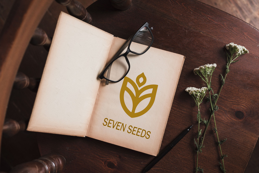 SEVEN SEEDS 餐厅设计丨埃及丨DStudios-10