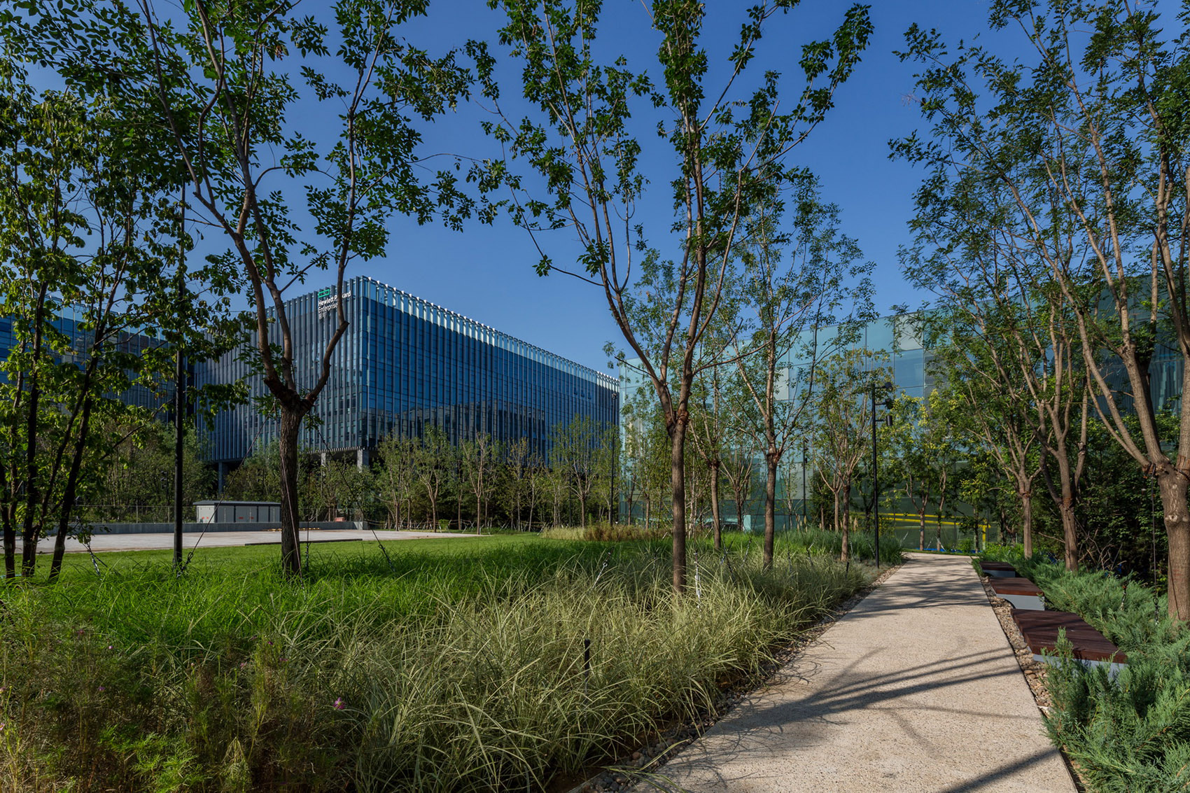 合院中的绿林·利星行中心（北京）景观设计丨中国北京-22