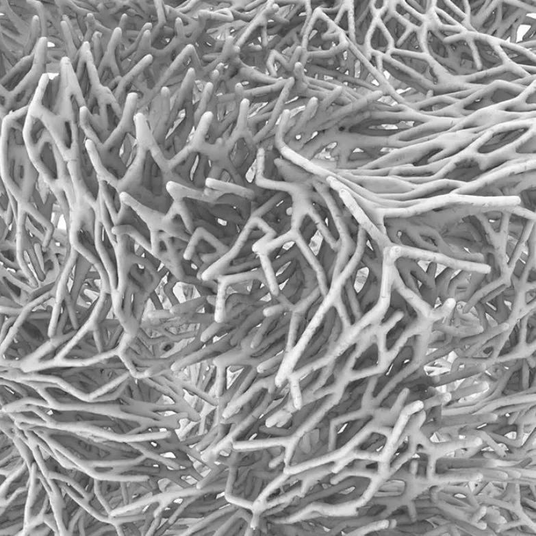 数字未来 2020 全球抗疫公益数字工作营全导师阵容揭晓!-312