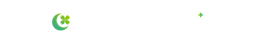 绿装案例鉴赏丨在怀古的浪漫情怀中,重温生活的仪式感-0