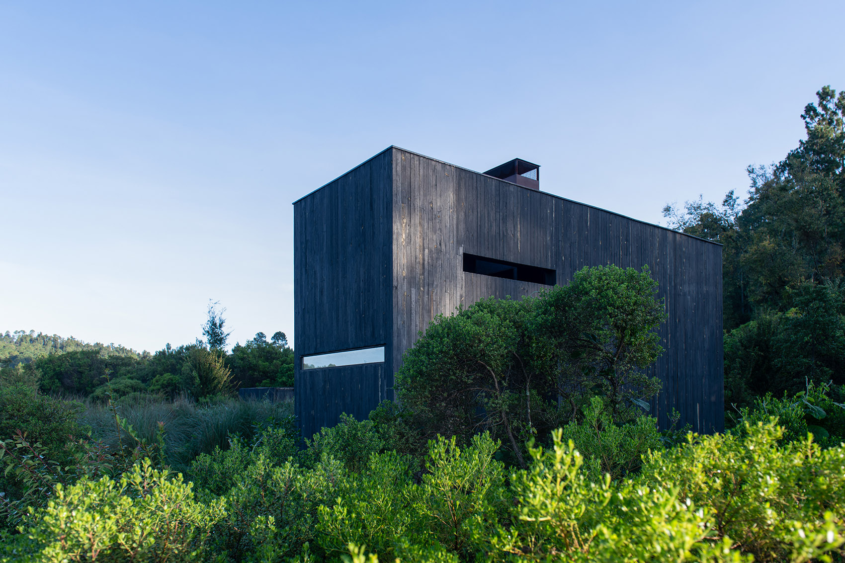 墨西哥雨水收集之家丨Robert Hutchison Architecture + JSa-141