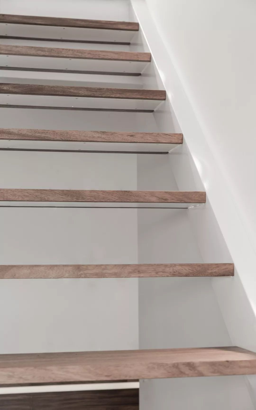 定制建筑体验，SAL Architecture Studio 打造亚速尔风情-31