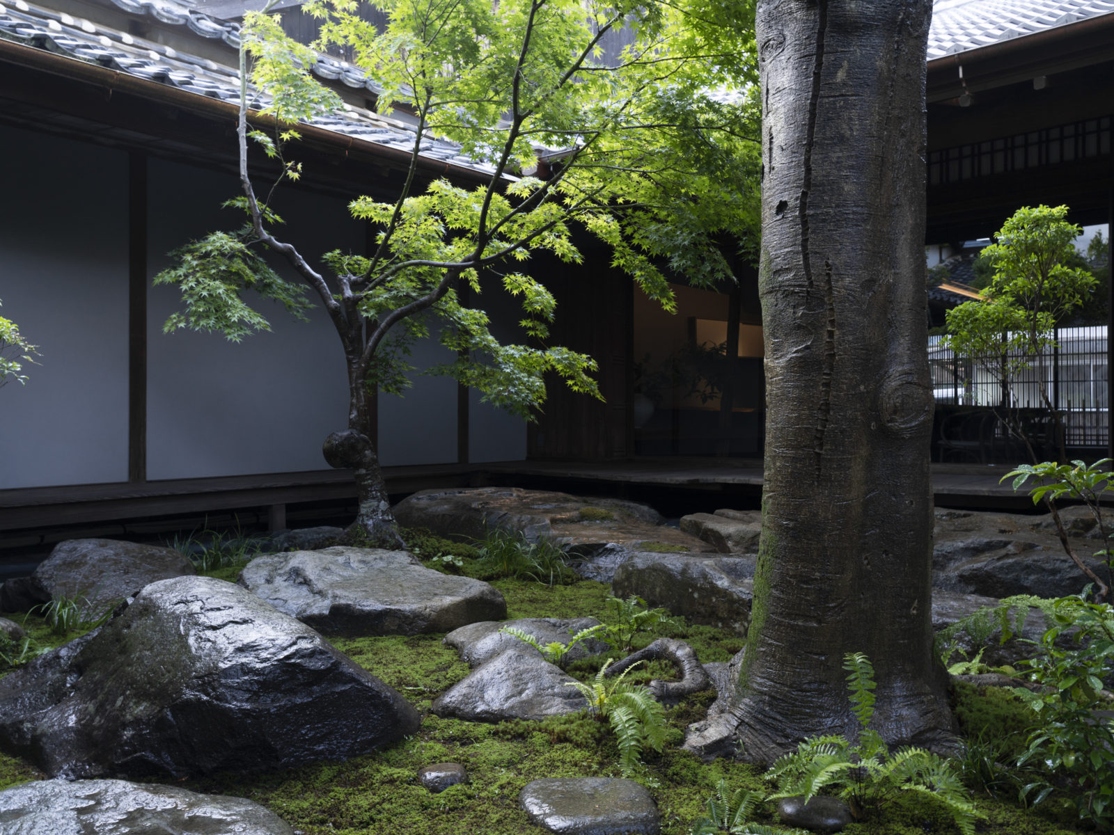 石の庭 · 舸子176丨Kazuya Sasaki(smallclone)-3