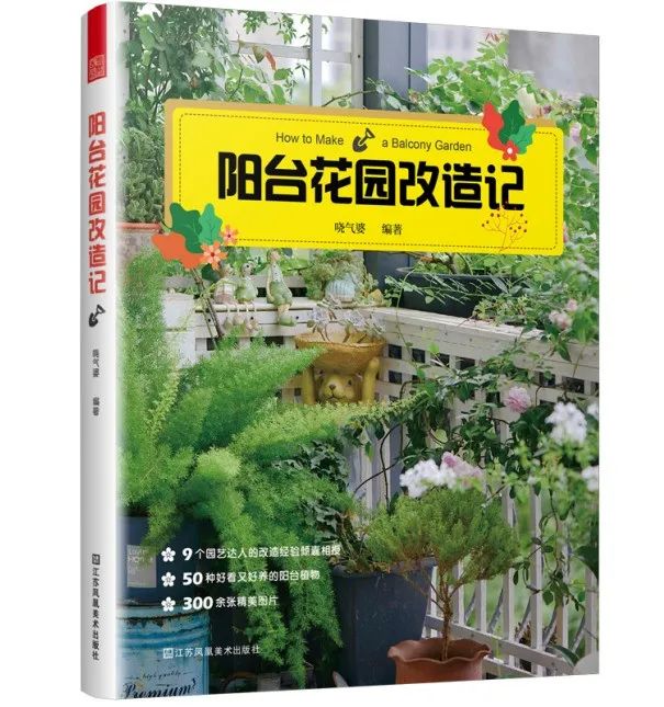 阳台花园改造记丨中国杭州丨哓气婆-37