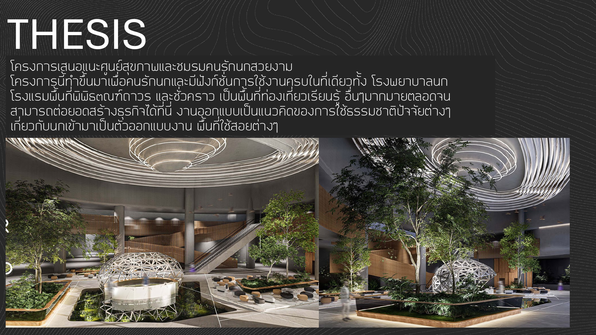 portfolio interior design sirapob rangsawai-11