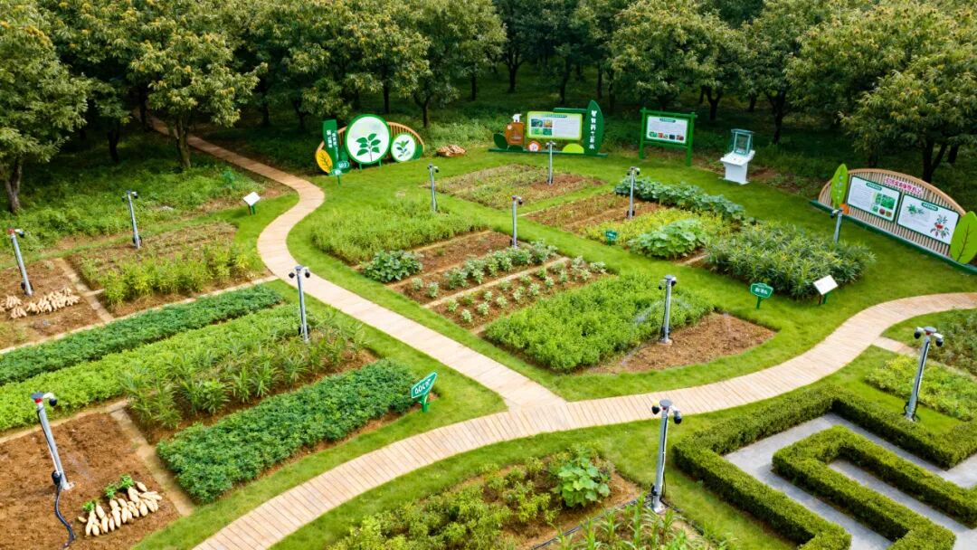 华中百亩“本草秘境”：三产融合营地创新规划与运营方案-29