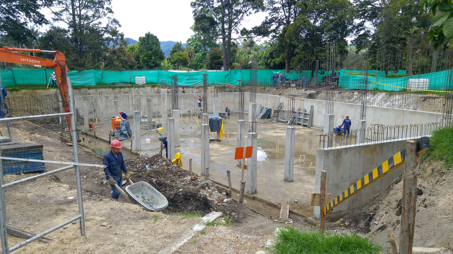 波哥大植物园植物标本馆-61