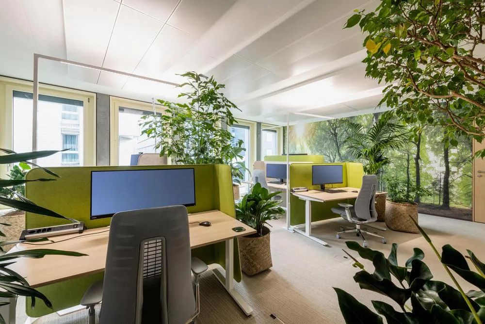 苏黎世科技公司 Eraneos Group 总部丨瑞士苏黎世-20