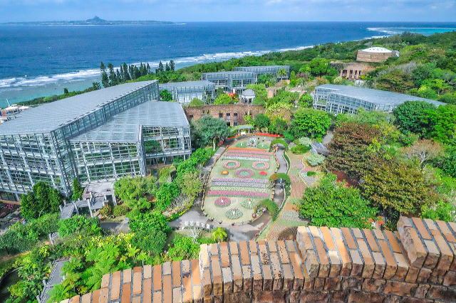 热带梦幻中心(海洋博公园内)丨日本冲绳-41