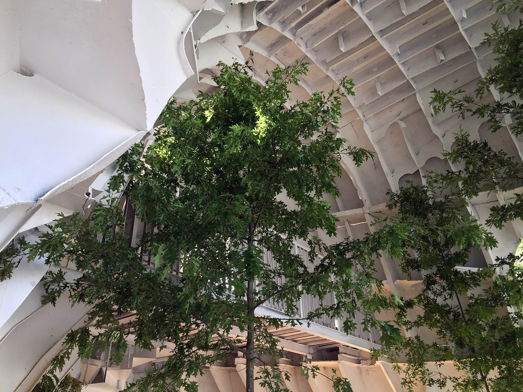 美术馆中庭，韩国 / Shinslab Architecture-33