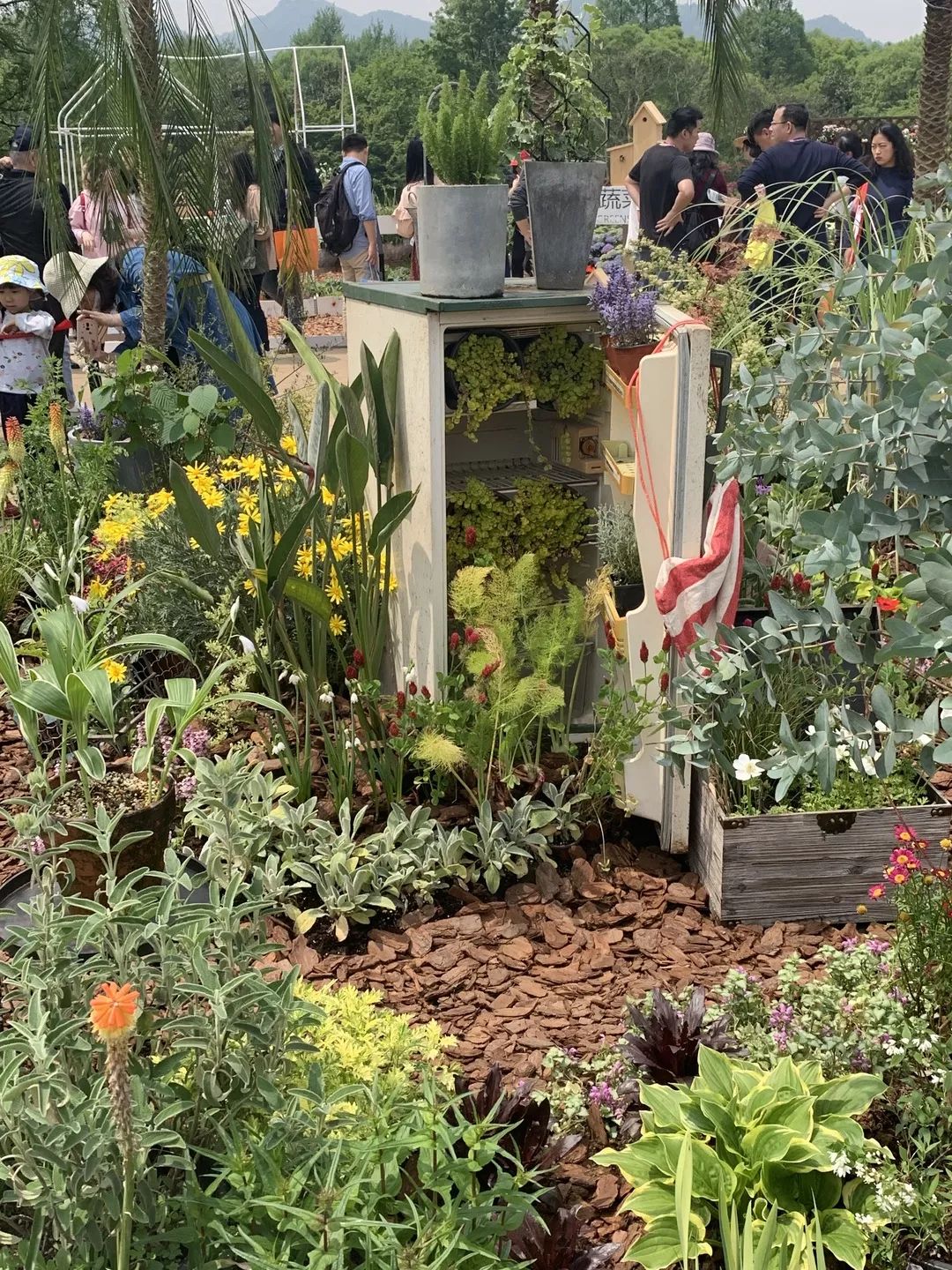 2019 西湖花园节创意花园设计亮点解读-108