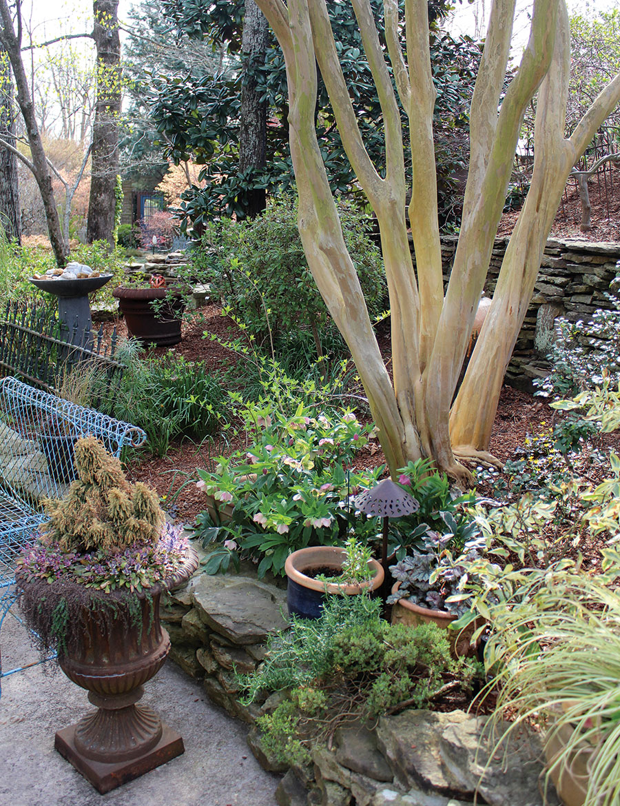 丨美国小石城-16