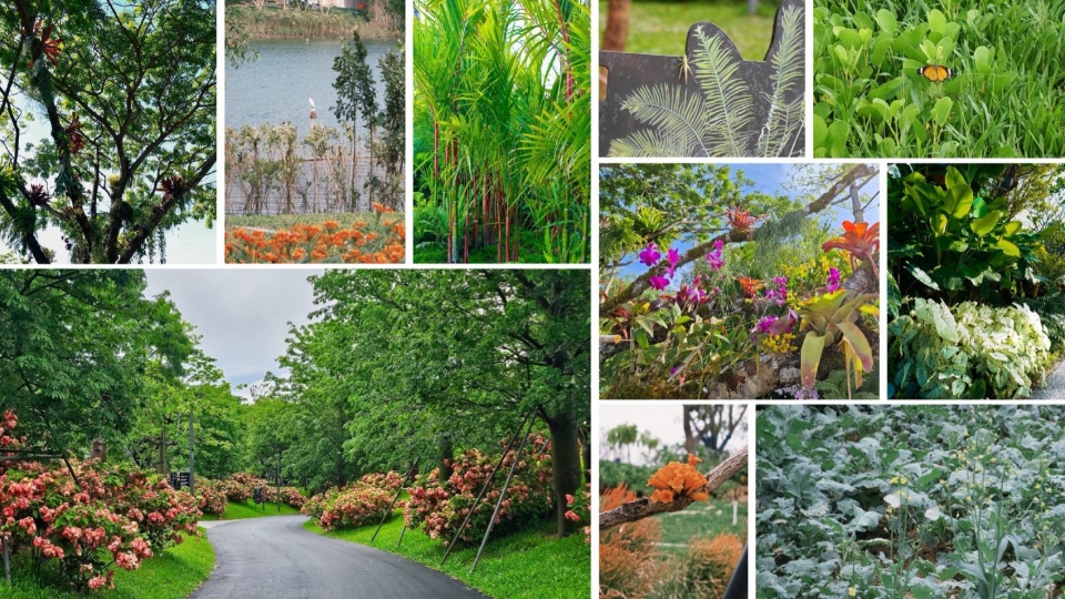 海棠河生态公园二期景观设计丨中国三亚丨LOLA Landscape Architects-78