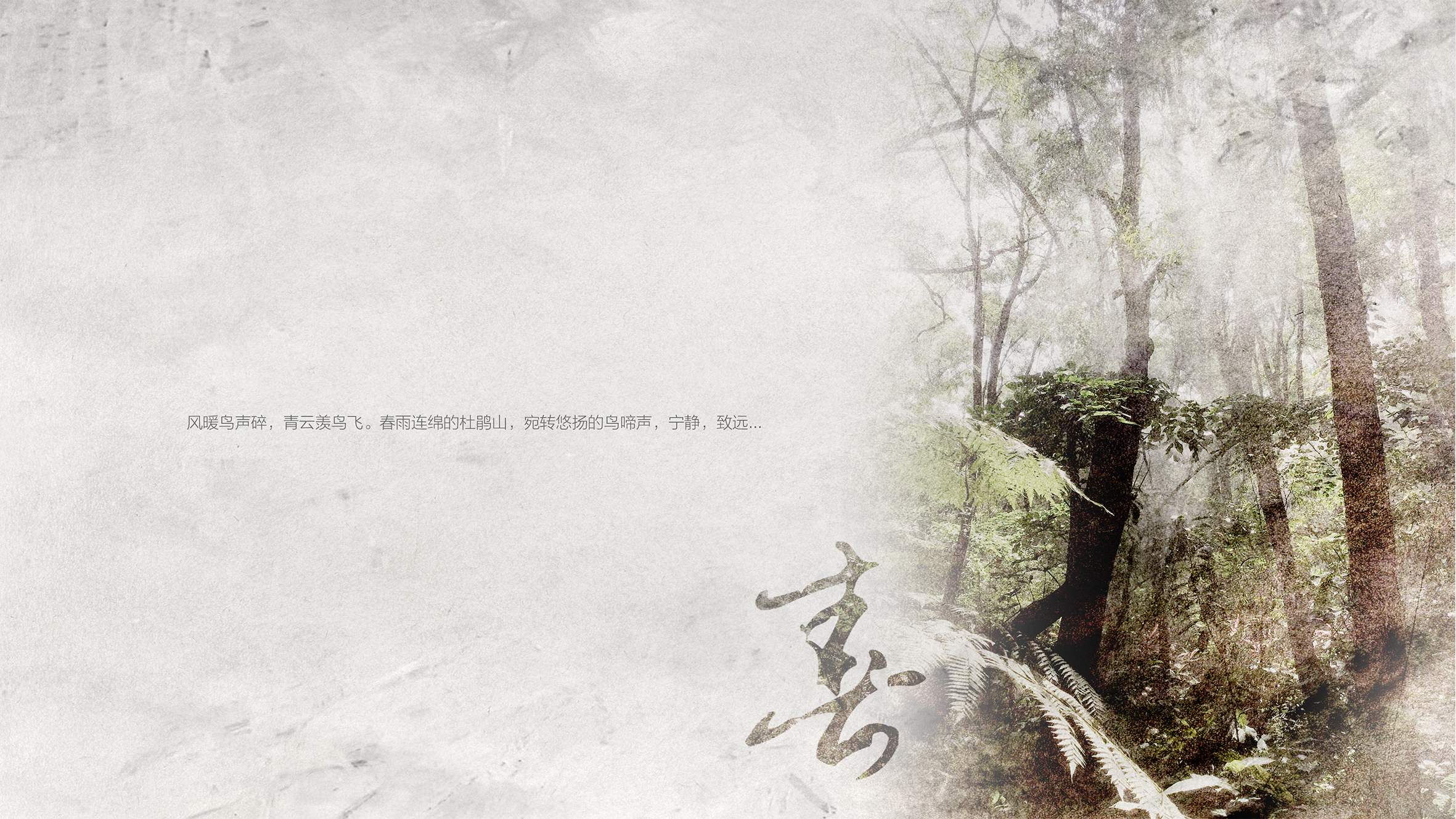 《一千零一只飞鸟》 | 诗意餐饮空间设计-5