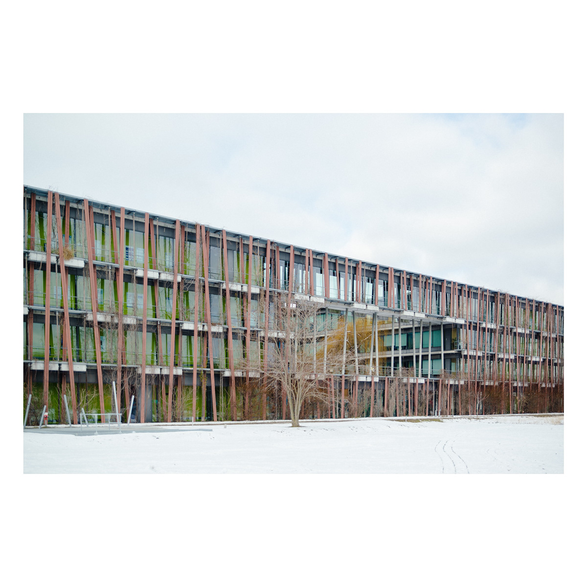 2021 年冬季阿德勒斯沃夫空气动力学公园校园设计-0