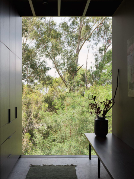 林栖之诗：Archier在塔斯马尼亚的自然共生住宅-11