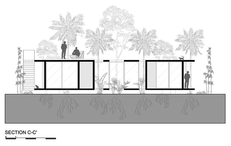 屋中森林丨巴拉圭丨Equipo de Arquitectura-101