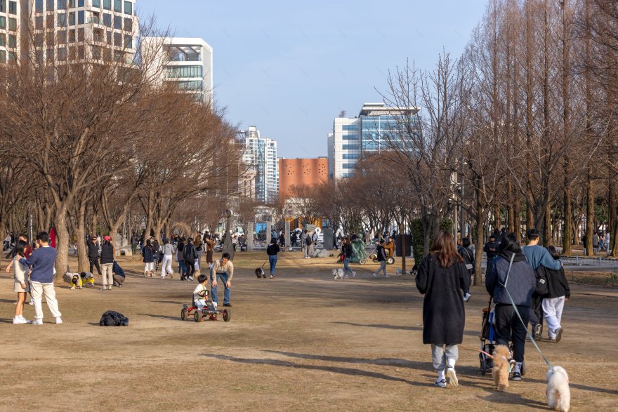 WMIssion 总部丨韩国首尔丨Behet Bondzio Lin Architekten-25