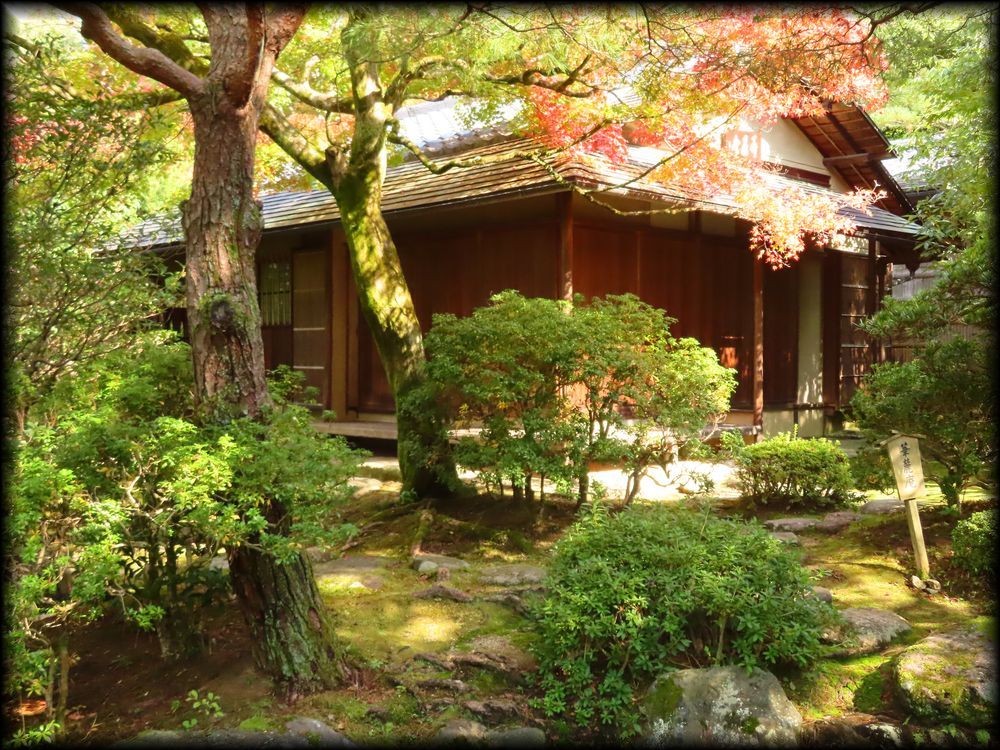 知恩院友禅苑,華麓庵,白寿庵,知恩院方丈庭園丨日本京都-21