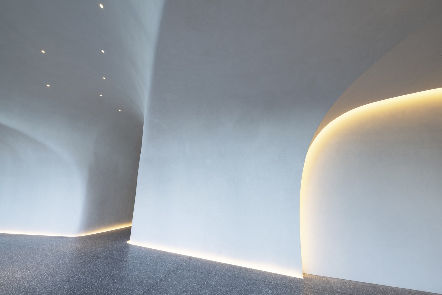 澳大利亚海滨有机住宅丨Contreras Earl Architecture-38