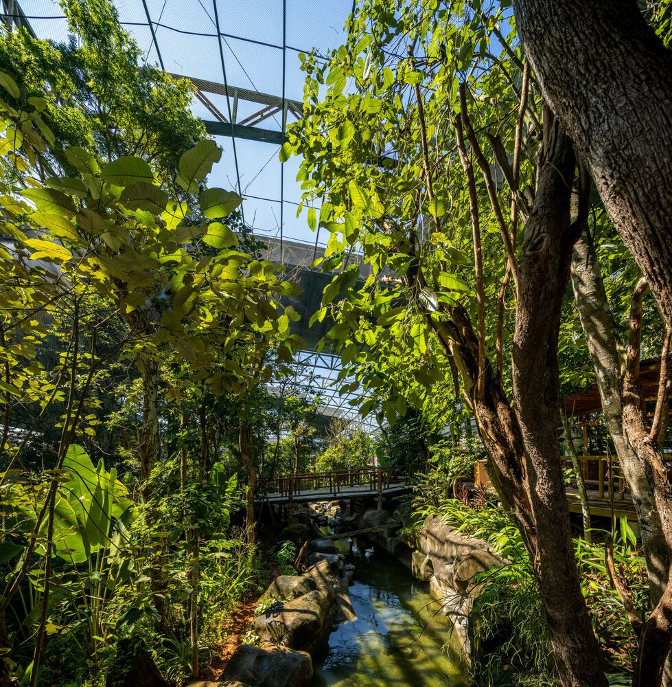沉浸式动物园设计丨巴西圣保罗丨Alessandro Malara-36