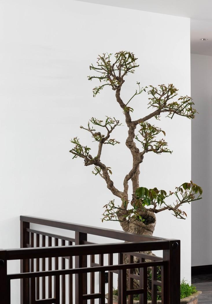 
潍坊颐轩国际新中复式 -16