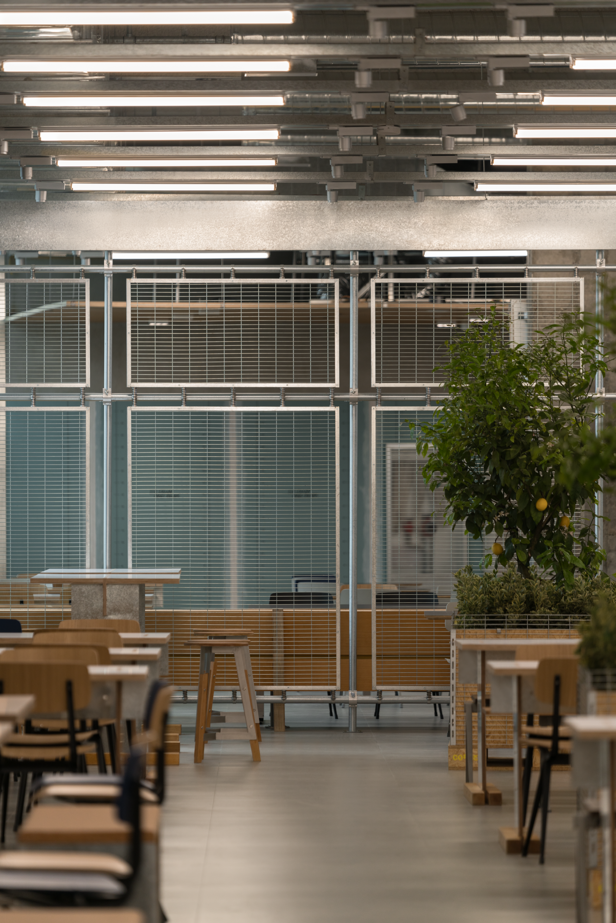 COSMO:角落·莫霍设计丨中国成都丨Mojo Wang,邱天,卿辉豪-40