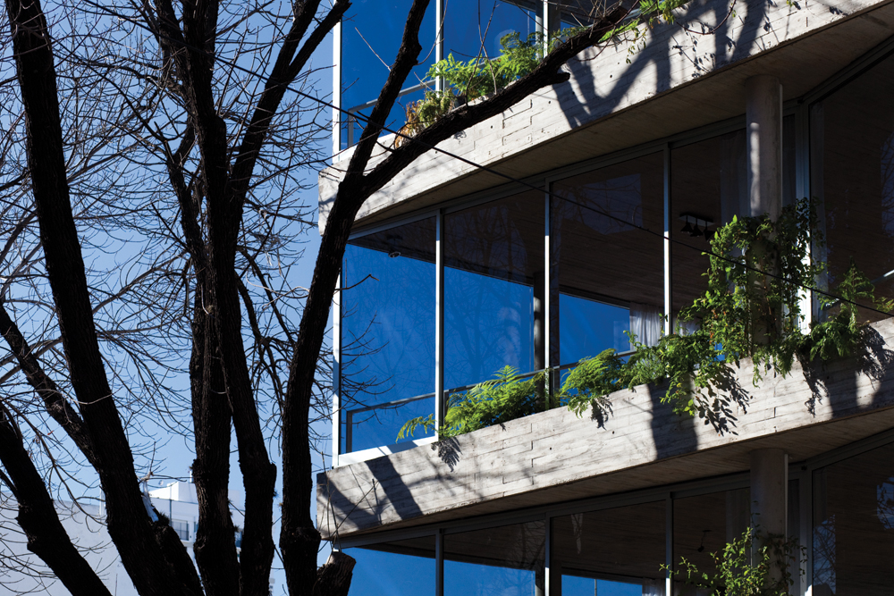 CS 大楼 | 突破常规的混凝土住宅设计-25