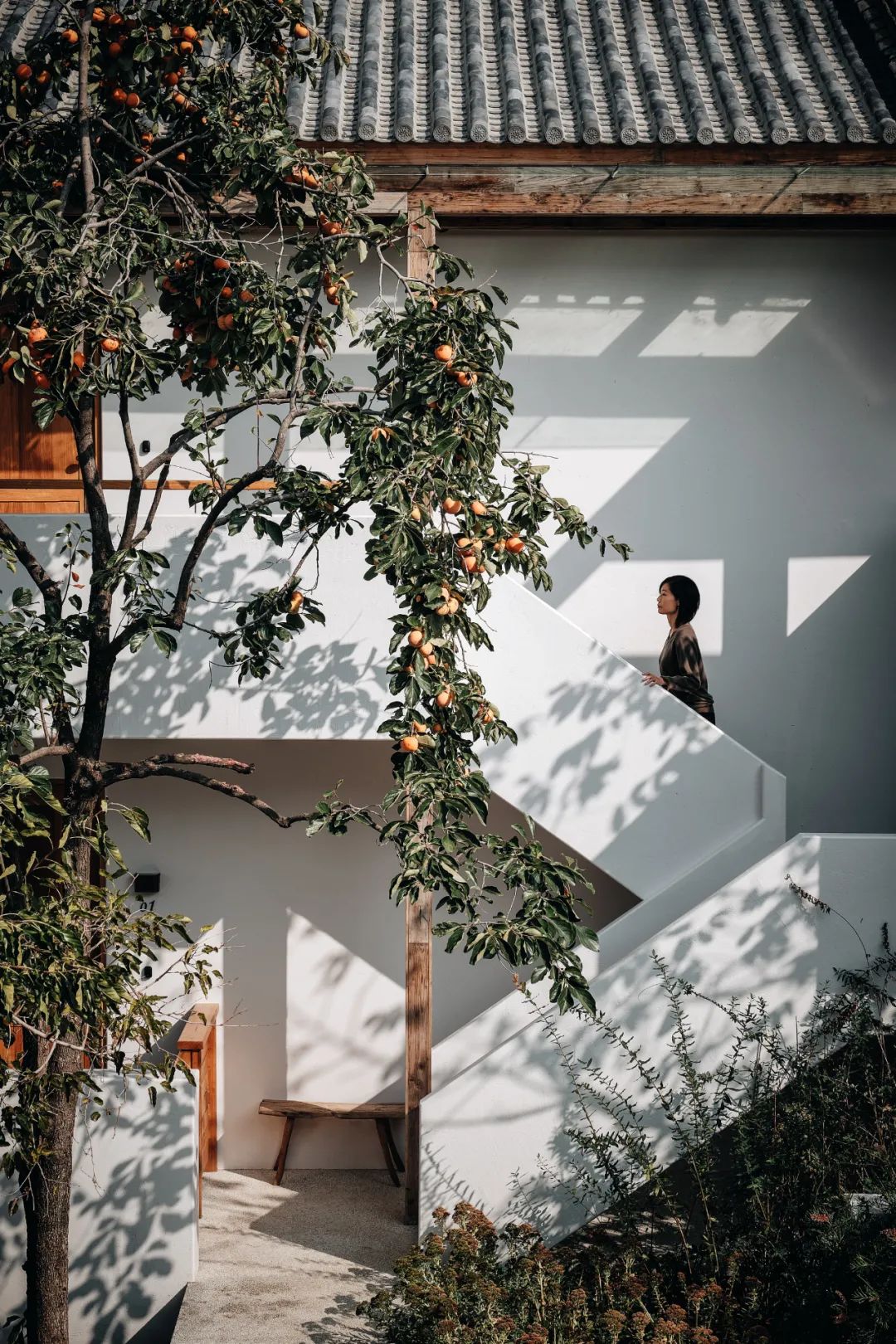 尚壹扬设计创始人谢柯 · 诗和远方的温暖人居丨中国大理-25