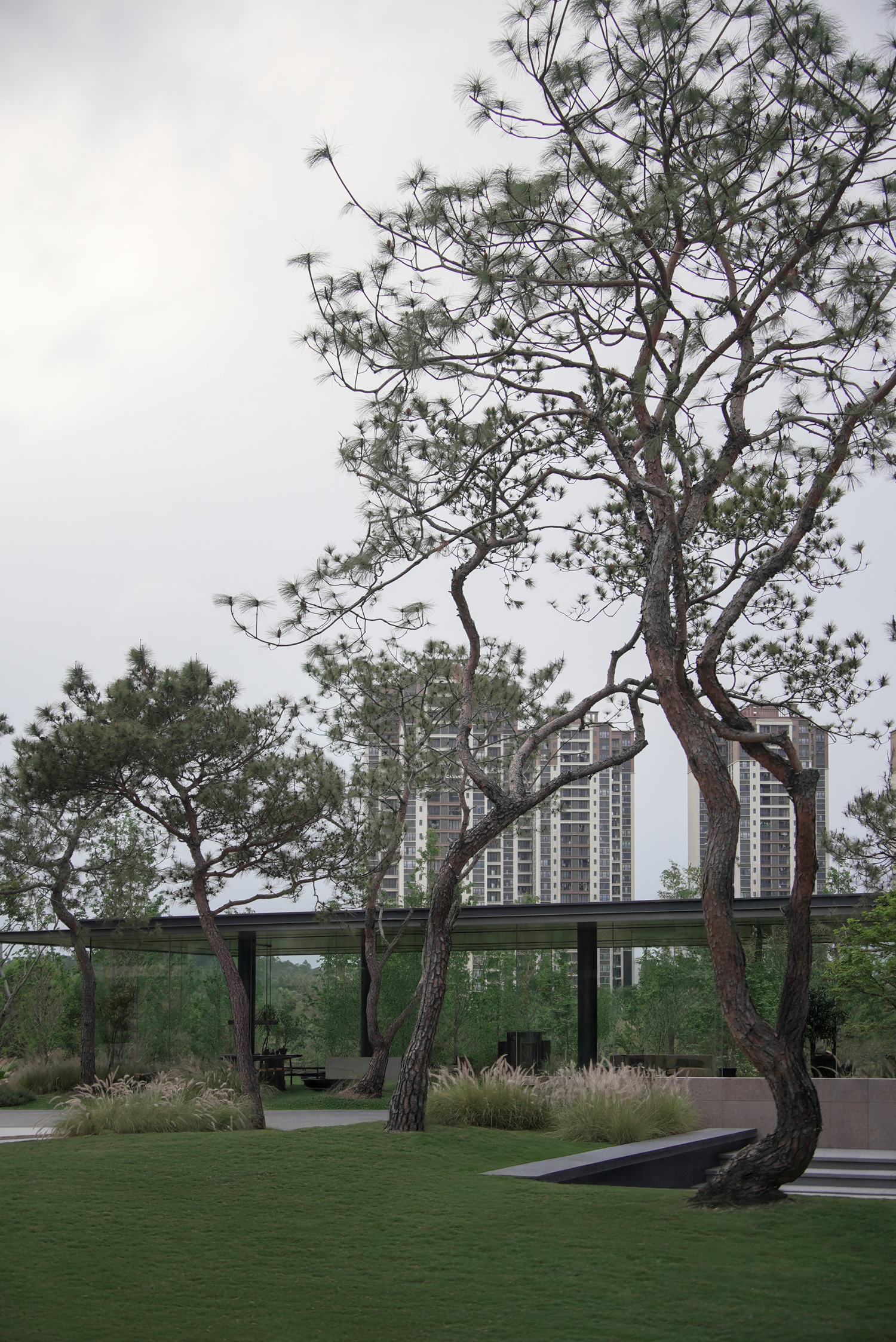 美的·鹭鸣臺丨中国佛山丨致澜景观-111