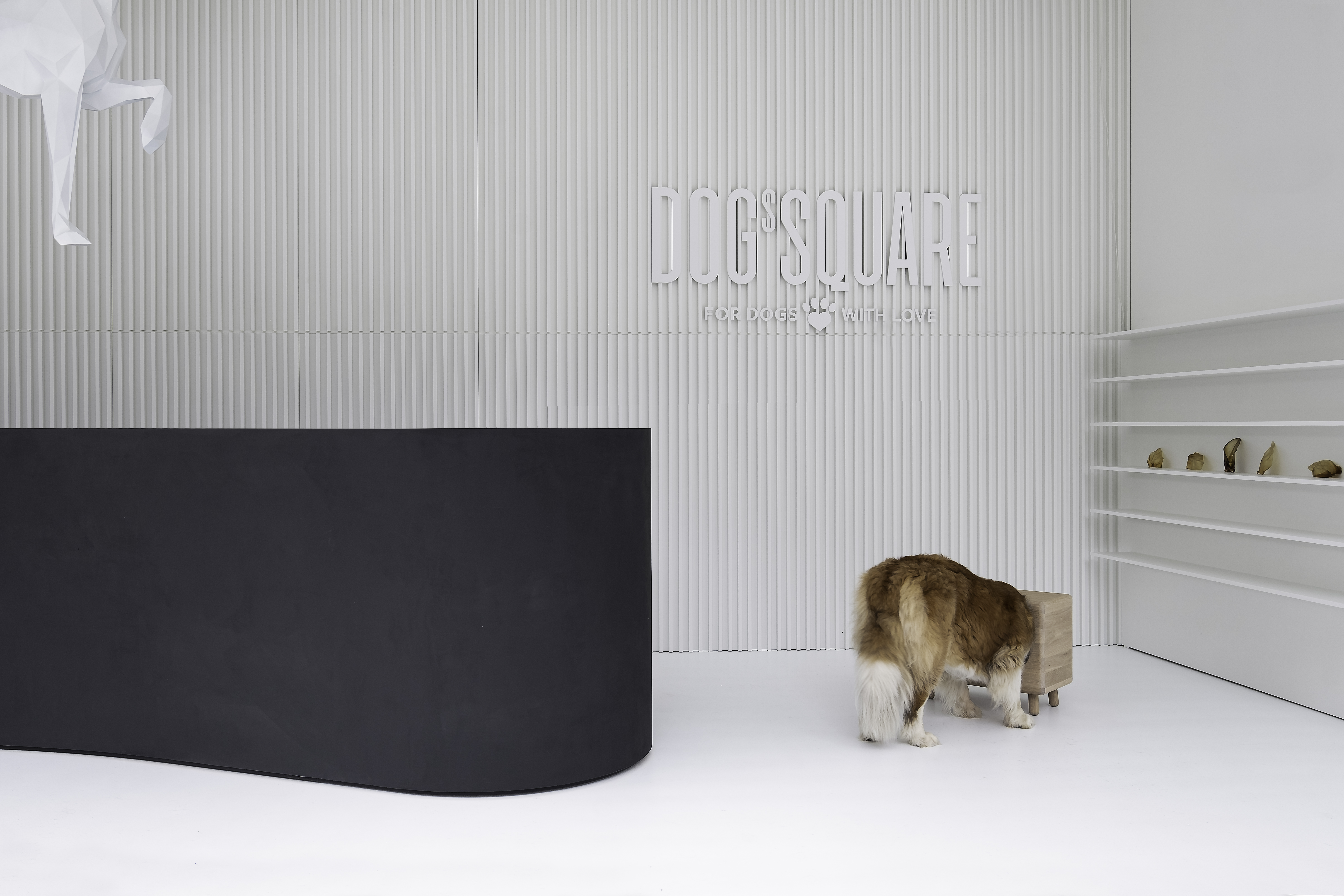 狗广场画廊丨斯洛伐克布拉迪斯拉发丨atelier 27.9-21