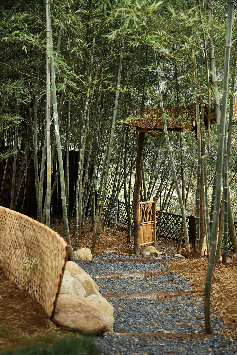 江苏南京半日松风茶空间设计（“闭门即是深山  半日松风茶空间设计”）丨中国南京丨南京拙木空间设计-75