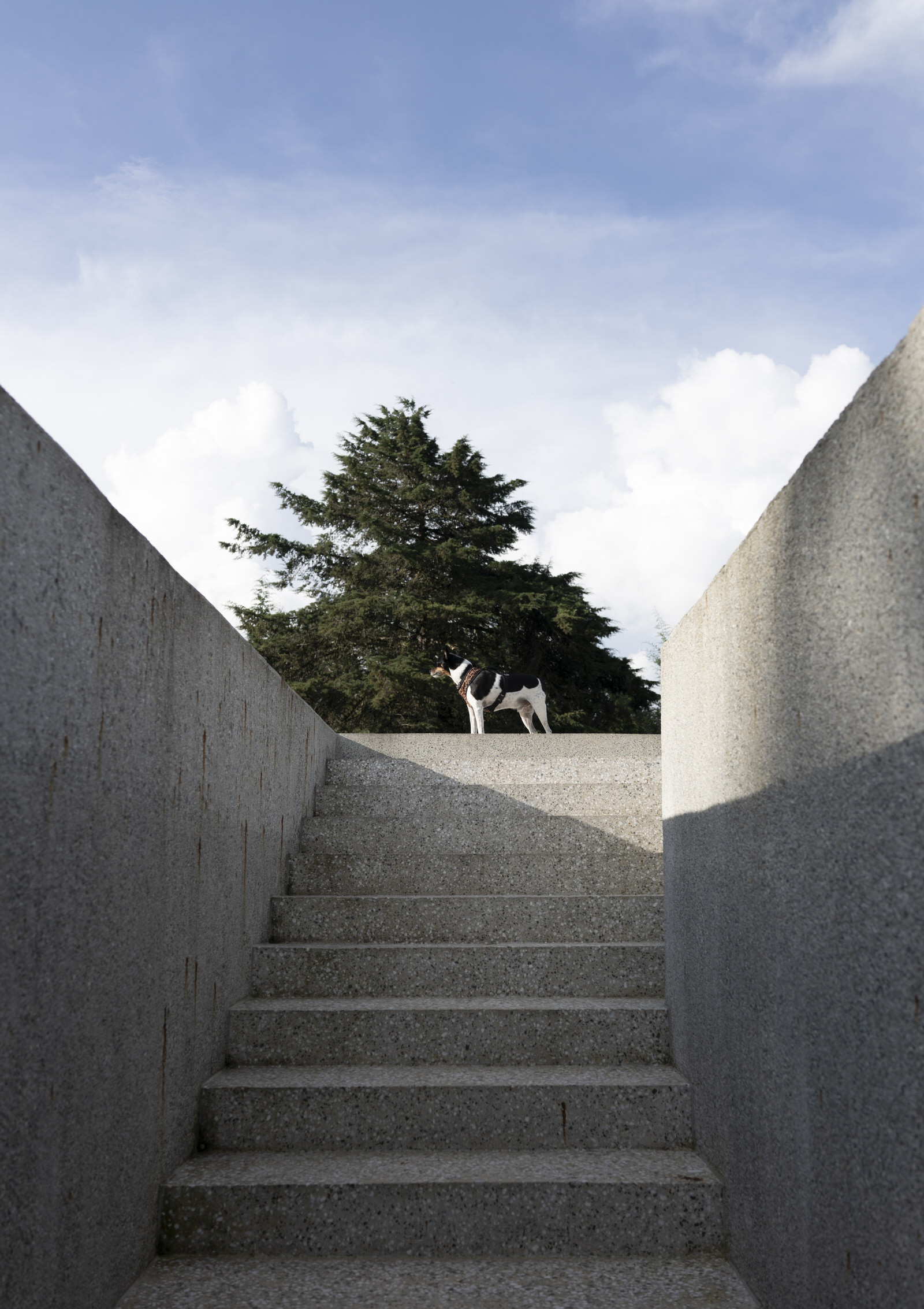 Ballen House · Andes Mountain 退隐之所丨哥伦比亚丨LCLA Office,Clara Arango-31