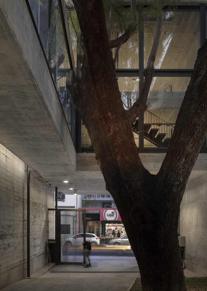 阿根廷建筑师协会总部 · 混凝土与绿意的共生-56